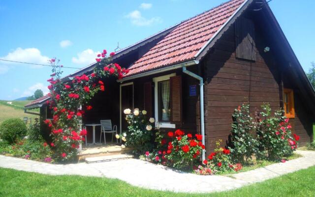 Wooden house Nela