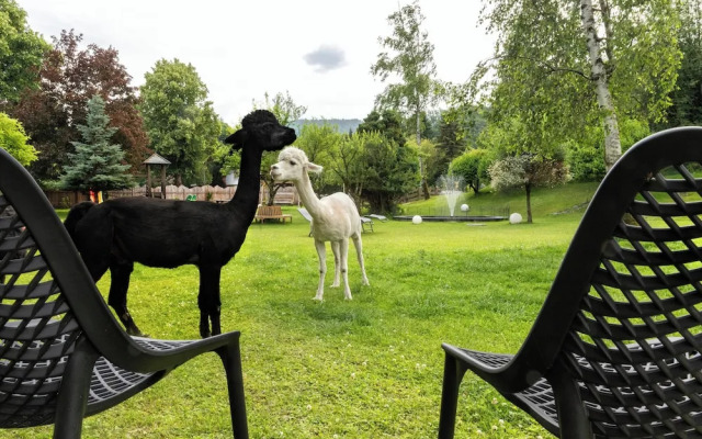 Sporthotel Wilder Kaiser