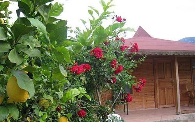 Çirali Almira Bungalow