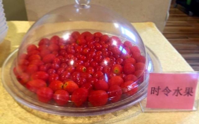 GreenTree Inn PuNing International Commodity City Hotel