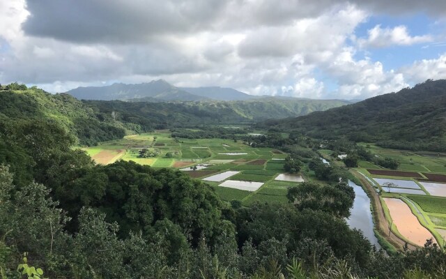 Punahele 3 Bedroom Home by RedAwning