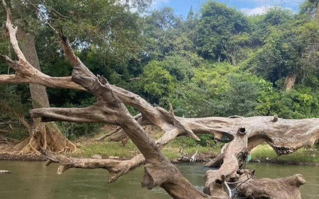 Humbhaha Jungle Nature Eco Resort