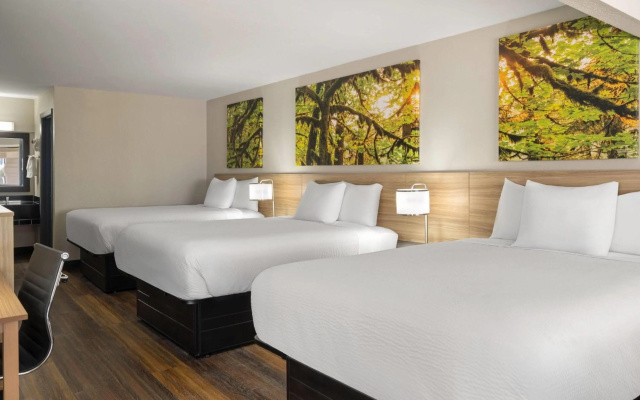 Days Inn & Suites by Wyndham Byram - Image 5