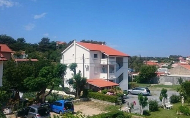 Dani - Free Parking - A1