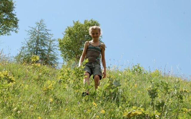 Edelweiss