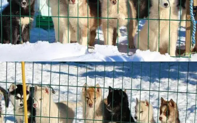 Chambres d'Hôtes Le Serpolet