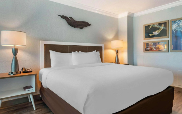 Dolphin Sands Clearwater Beach, an Ascend Collection Hotel