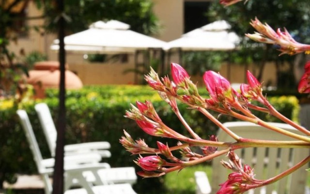 Solemare b&b - Apartments Alghero