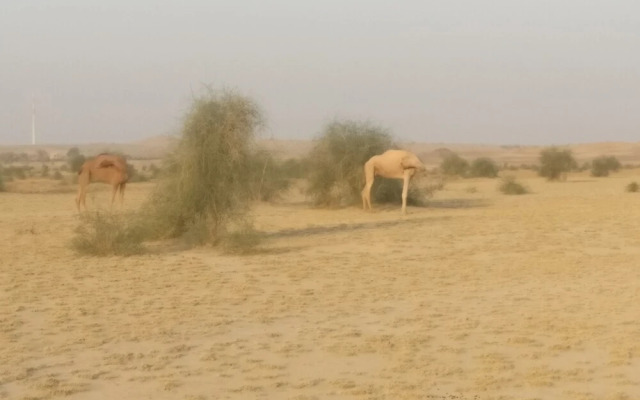 Savi Camps Jaisalmer