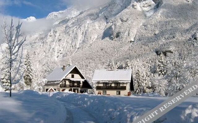 Alpik Apartment at Bohinj Lake