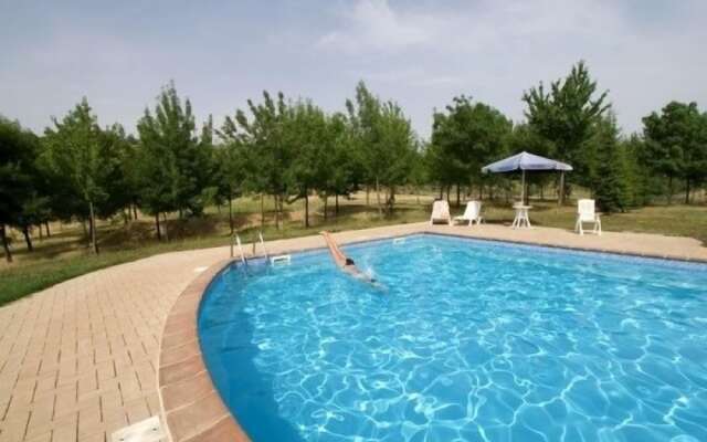 La Collina dei Ciliegi