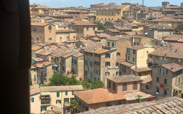 Top Floor - Franciosa