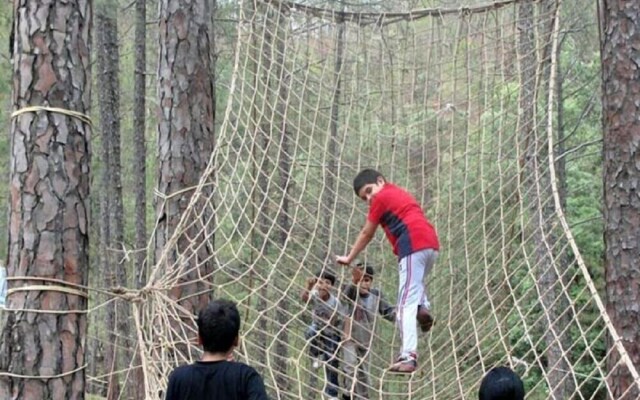 Camp Pine Riviera
