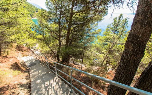 Miljko - 80 m From Beach - A11