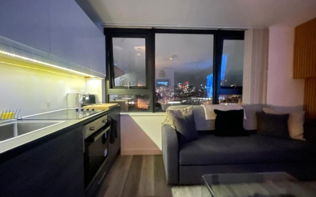 Radio City Apartments near City Centre