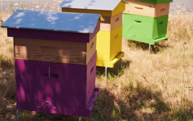 Greet hotel Saint Nazaire Trignac