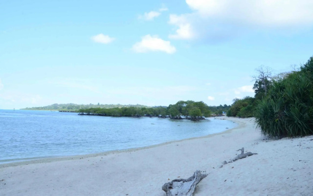 Coconhuts Beach Resort-Neil Island
