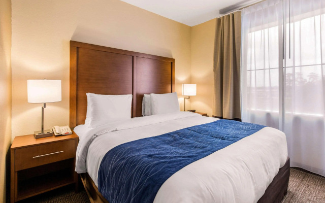 Comfort Inn & Suites IAH Bush Airport – East