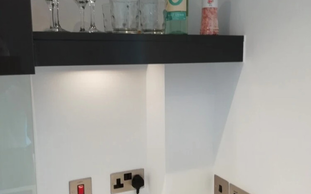 Luxury One Bedroom Apartment