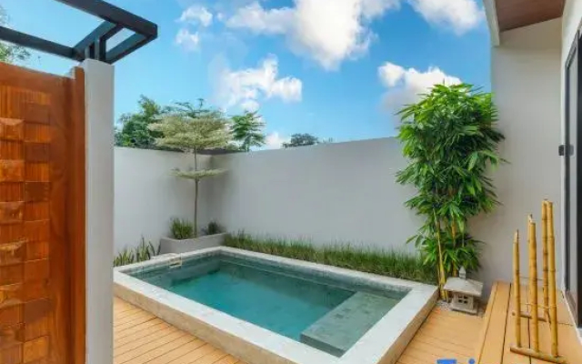 Terra House B1
