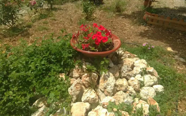 Diogenis Residence Euphoria