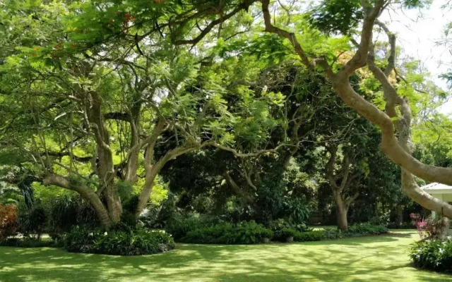 Mtuba Manor Guest House