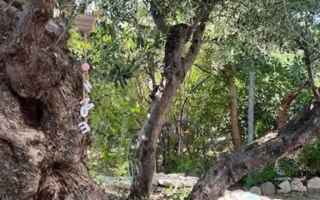 Private country house