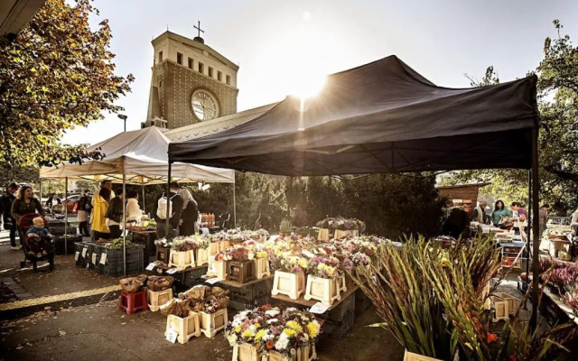 Cozy studio in Vinohrady