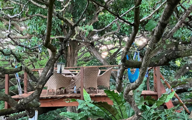 Sweet Spot Stay - Tikis and Treetops