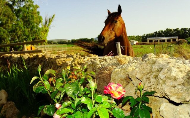 Azienda Agrituristica La Genziana