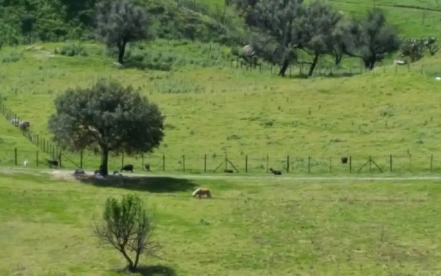 Agriturismo Mama Lina