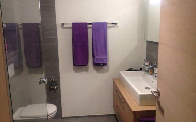 Ferienwohnung Panorama Lodge Scuol