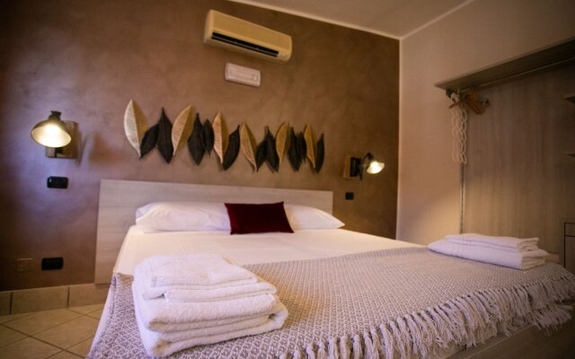 B&B Trepo