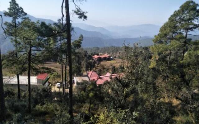 Binsar Oak Paradise