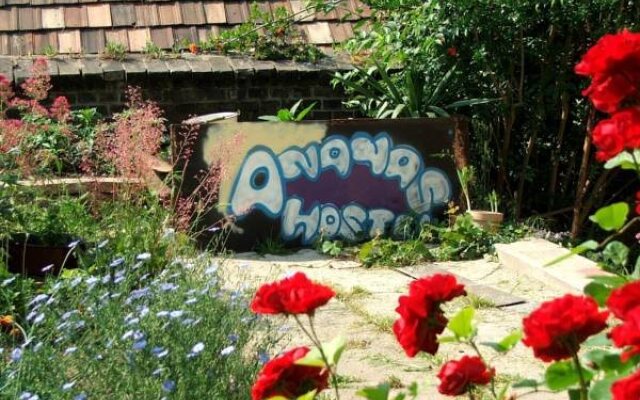 Ananas Hostel 