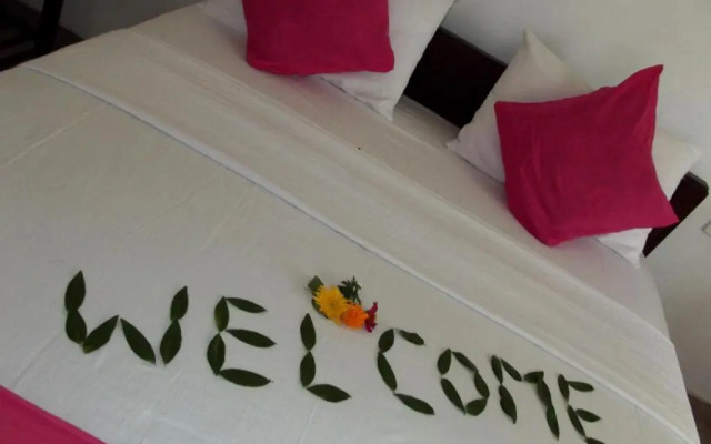 Sigiri Elephant View Guest
