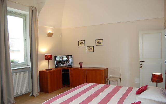 B&B Fraxinus Excelsior