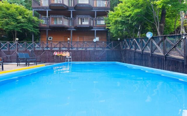 Forest of Morning Calm