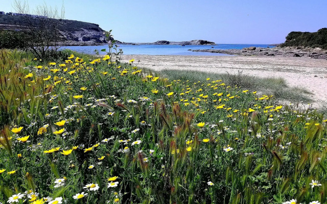 Agriturismo Erbe Matte
