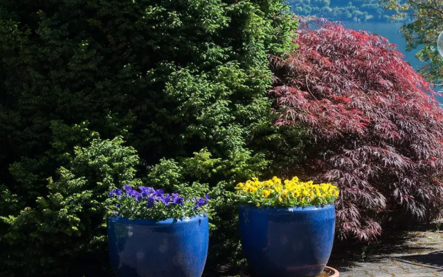 Garni Jägerhof Hubertus