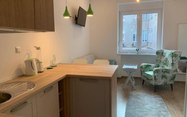Studio apartment in center of Zagreb "Vidra"