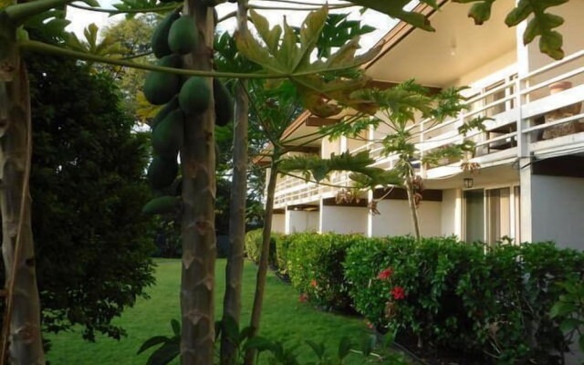 Kona White Sands A4 Romantic Ocean View!