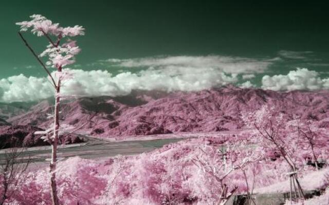 Yu Lan 99