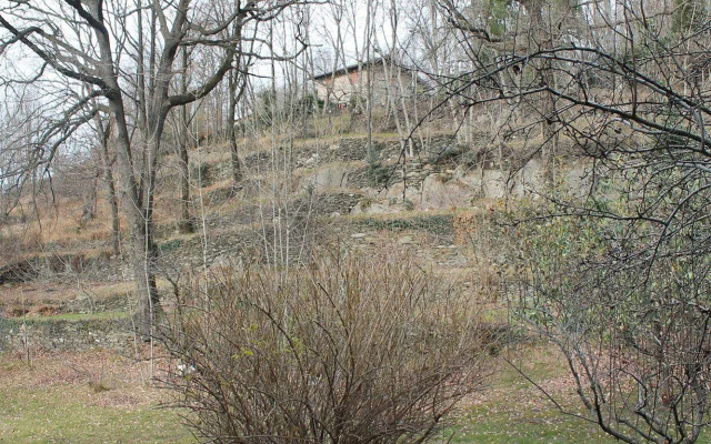 Rustico Grande Terreno