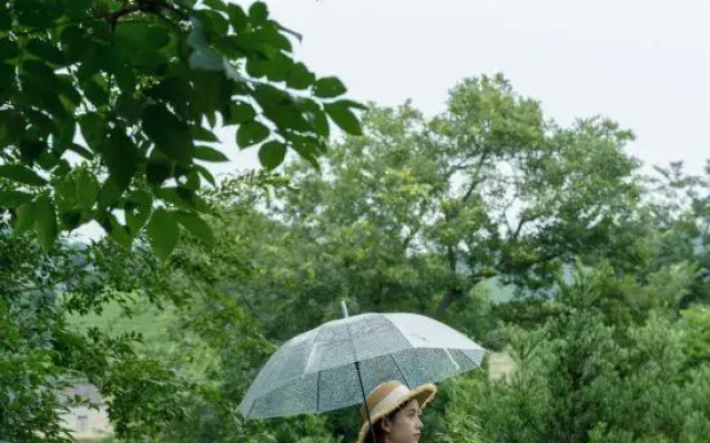 Yi Cha Yi Shu Hostel