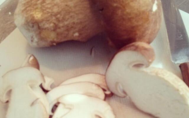 B&B Chez Camille Auberge Maison dhôtes