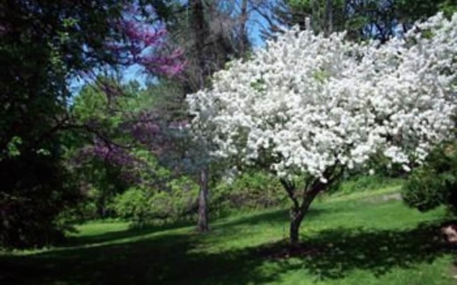 Temple Hill Bed & Breakfast