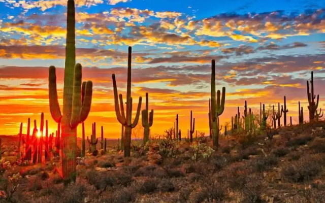 Sonesta Tucson