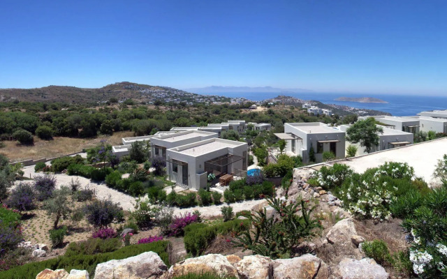 Aegean Hills