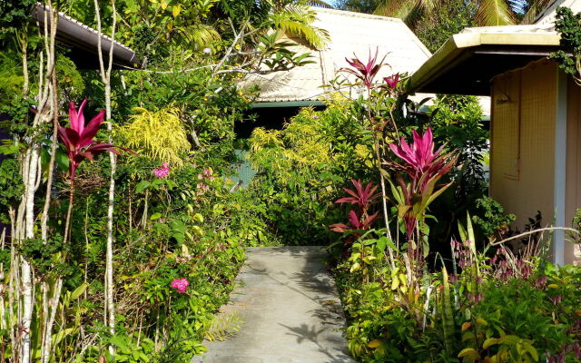 The Friendly Islander (Papiloa's)